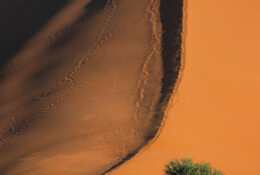 Namibia_August (21/135)